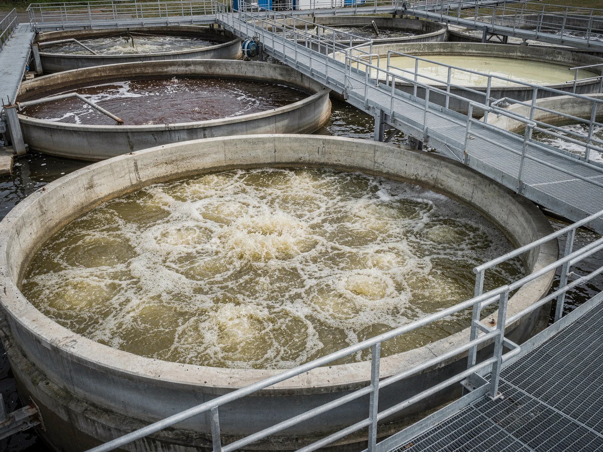 Biologische Abwasseraufbereitung